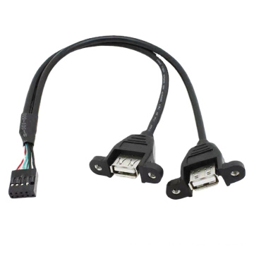 Ph2.0 double USB-A Motherboard Cable Cord